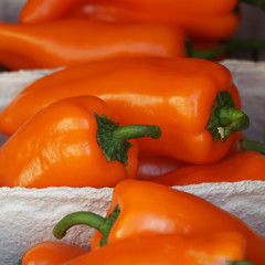 Paprika orange in Schale
