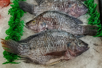 tilapia is fresh caught and ready to cook