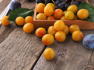 Mirabelles, plums and grapes, healthy food