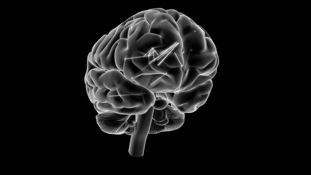 X-ray style brain with impulses, 360 rotation.

Loop of a rotating human brain with impulses travelling though it rendered in x ray style shading.