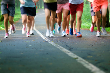 Closeup feet group athletes running marathon in woods