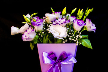 Bouquet of fresh eustoma in cream and purple colors on the black wall background