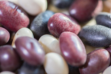Multi-colored beans on a white background. Red and white beans in a background. Assortment of dried multi-colored beans, healthy ingredient. Bright multi-colored beans. A complete source of protein.