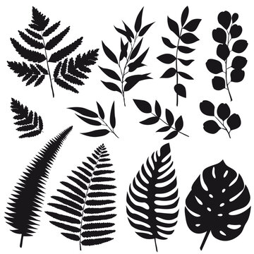 Set trend leaves silhouettes isolated on white background for design. Vector EPS10 