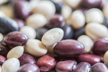 Multi-colored beans on a white background. Red and white beans in a background. Assortment of dried multi-colored beans, healthy ingredient. Bright multi-colored beans. A complete source of protein.