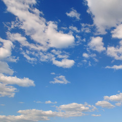Fototapeta premium light clouds in the blue sky