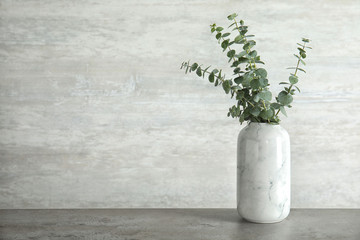 Bunch of eucalyptus branches with fresh leaves in vase on table