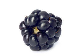 Fresh ripe juicy blackberry on white background