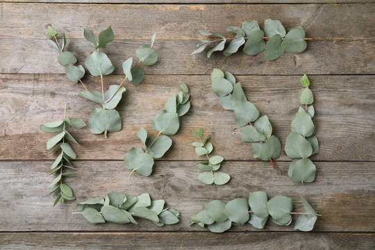 Flat lay composition with fresh eucalyptus leaves on wooden background