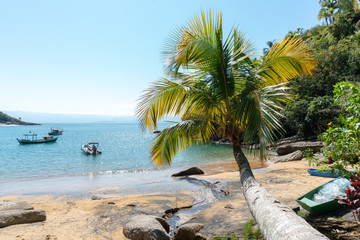 Fototapeta premium ilhabela