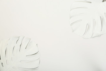 Painted tropical Monstera leaves and space for text on white background, top view