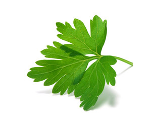 Obraz premium Parsley isolated on white