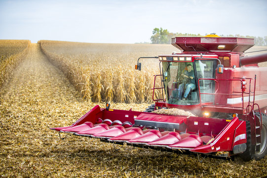 Harvest time with a full combine