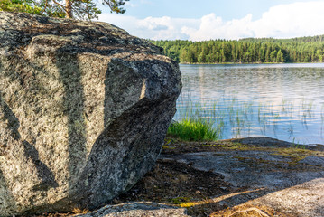 The quiet wild forest on the shore of the Saimaa lake in the Kolovesi National Park in Finland - 11