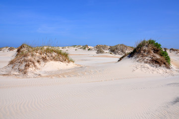 Fototapeta na wymiar Sand Dune in Cape Hatteras National Seashore, on Hatteras Island, North Carolina, USA.
