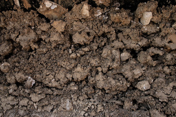 Dry Ground Texture Detail
