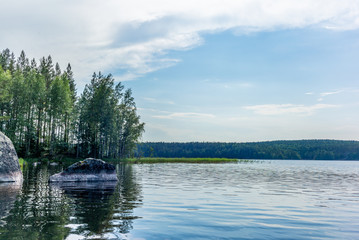 The quiet wild forest on the shore of the Saimaa lake in the Kolovesi National Park in Finland - 13