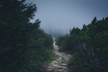 Mysterious hiking trail in the mountains