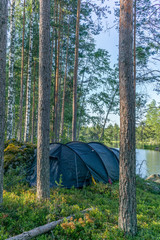 A lonely tent in the wild forest on the shore of the Saimaa lake in the Kolovesi National Park in Finland - 1