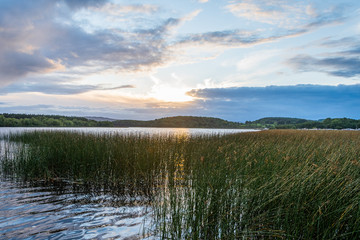 Fototapeta na wymiar A view across Lough Key in County Roscommon at sunset.