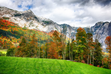 Fototapeta na wymiar Alpine meadows at autumn near Grundlsee lake.