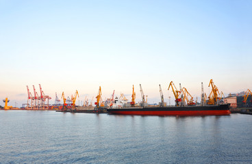 Bulk cargo ship under port crane