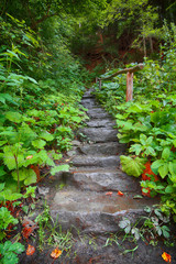 Stone staircase leading up a walkway through the Forest