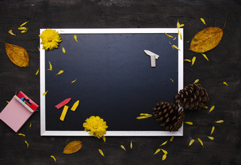 Black chalkboard. School supplies, fallen leaves and coniferous cones.