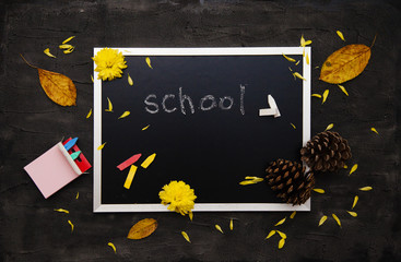 Black chalkboard. School supplies, fallen leaves and coniferous cones.