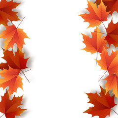Autumn leaves. Bright colourful autumn oak leaves. Template for 
