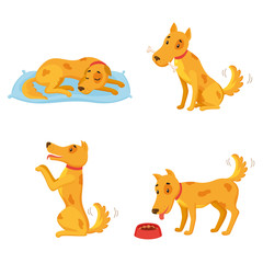 Dog in different states. Cartoon character set. Sleeping, gnawing bone, performing, eating. Vector illustration can be used for kindergarten, elementary school education