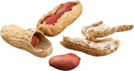 Peanuts with shells isolated on white background