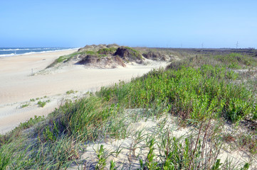 Fototapeta na wymiar Sand Dune in Cape Hatteras National Seashore, on Hatteras Island, North Carolina, USA.