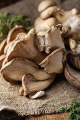 Obraz premium rustic wood,rustic background,rustic,oyster,mushroom,mushrooms,background,white,food,healthy,natural,meal,fresh,brown,health,group,diet,ingredient,edible,fungus,organic,tasty,eat,vegetable,gourmet,raw