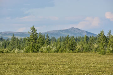 Fototapeta premium Foothill tundra.