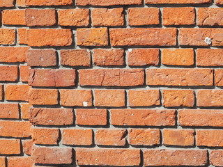 Fototapeta premium Ściana z cegły pomarańczowej