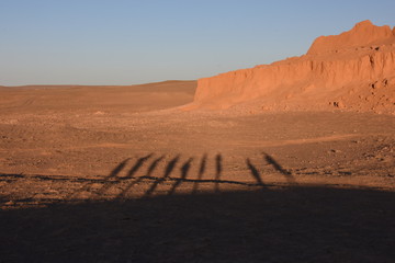 ombre nel deserto
