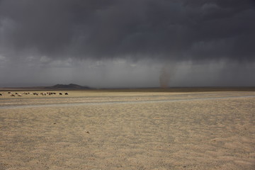 tempesta di sabbia nel deserto