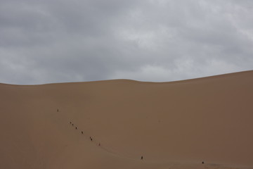 dune nel deserto