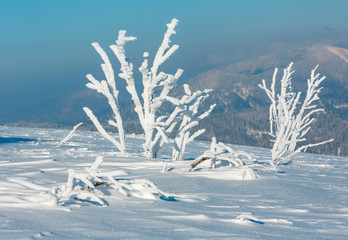 Winter mountain snowy landscape