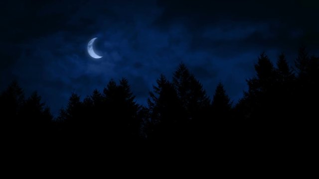 Crescent Moon Above The Forest