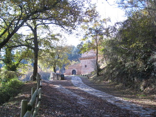 Monasterios en las montañas, camino del bosque hasta la entrada