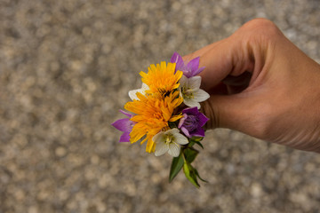 Blumen in Frauenhand