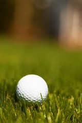 golf ball with a golf tee on a grass
