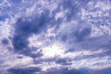 Fototapeta premium A flock of raven birds on a blue sky