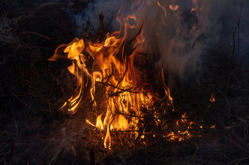 fire, burn a bunch of dry grass