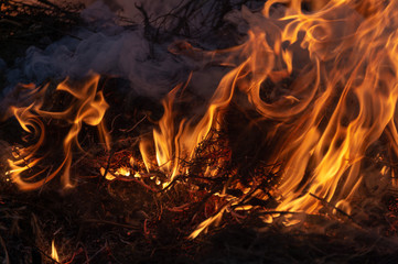 fire, burn a bunch of dry grass
