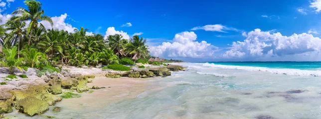 Meubelstickers Tropical beach in caribbean sea. © Belikova Oksana
