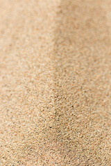Fototapeta na wymiar background of yellow sand