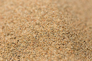 background of yellow sand